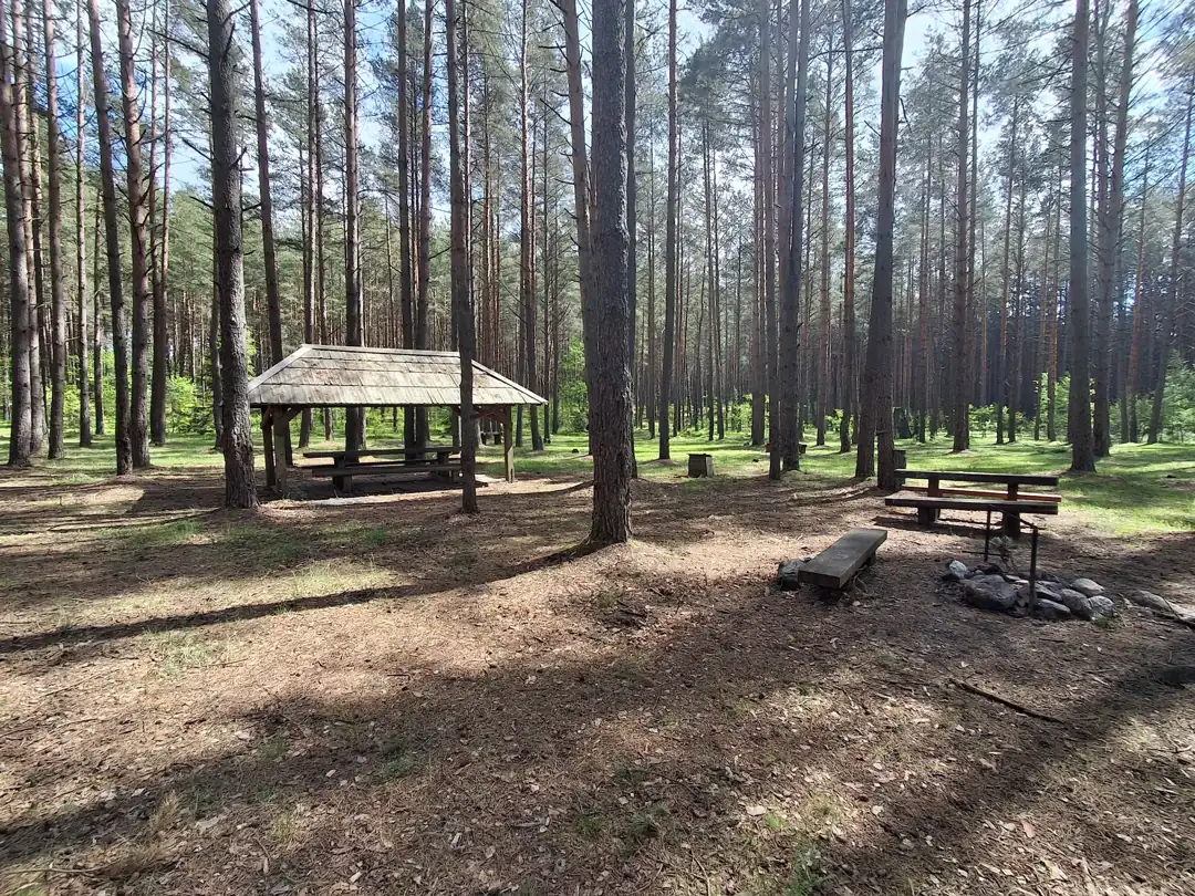 Gaveikėnų