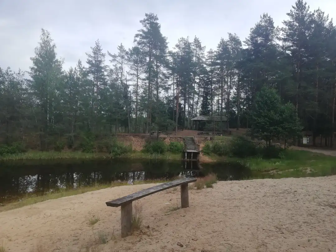 Ešalotas