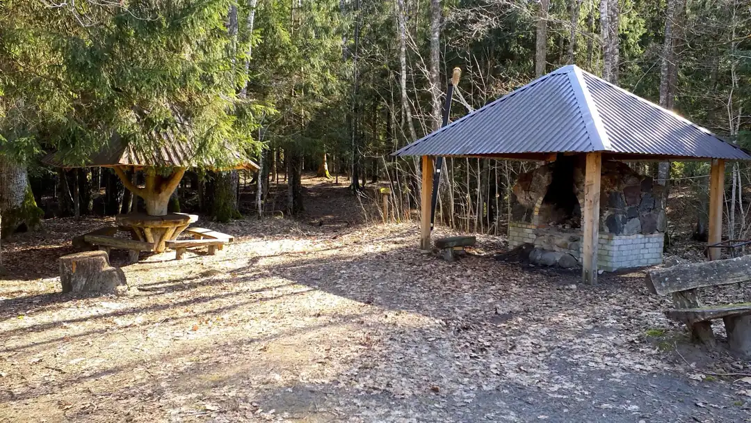 Pakalniškynė