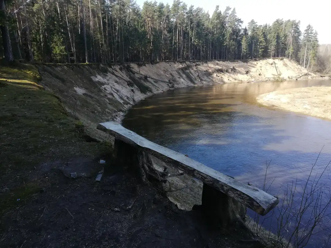 Metelio rėva