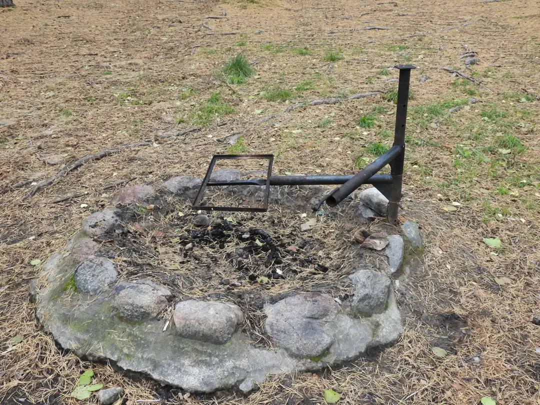 Agomantis