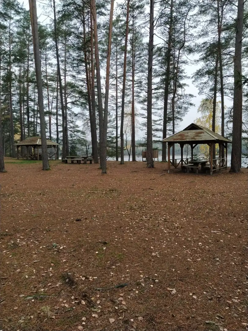 Pietinė