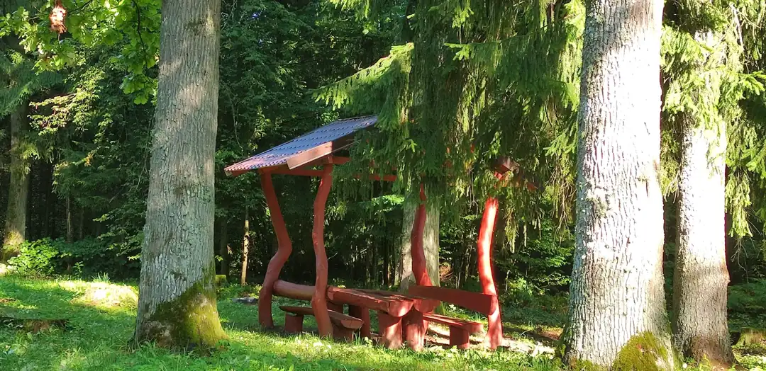Kavolių