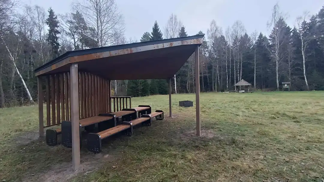Žibos