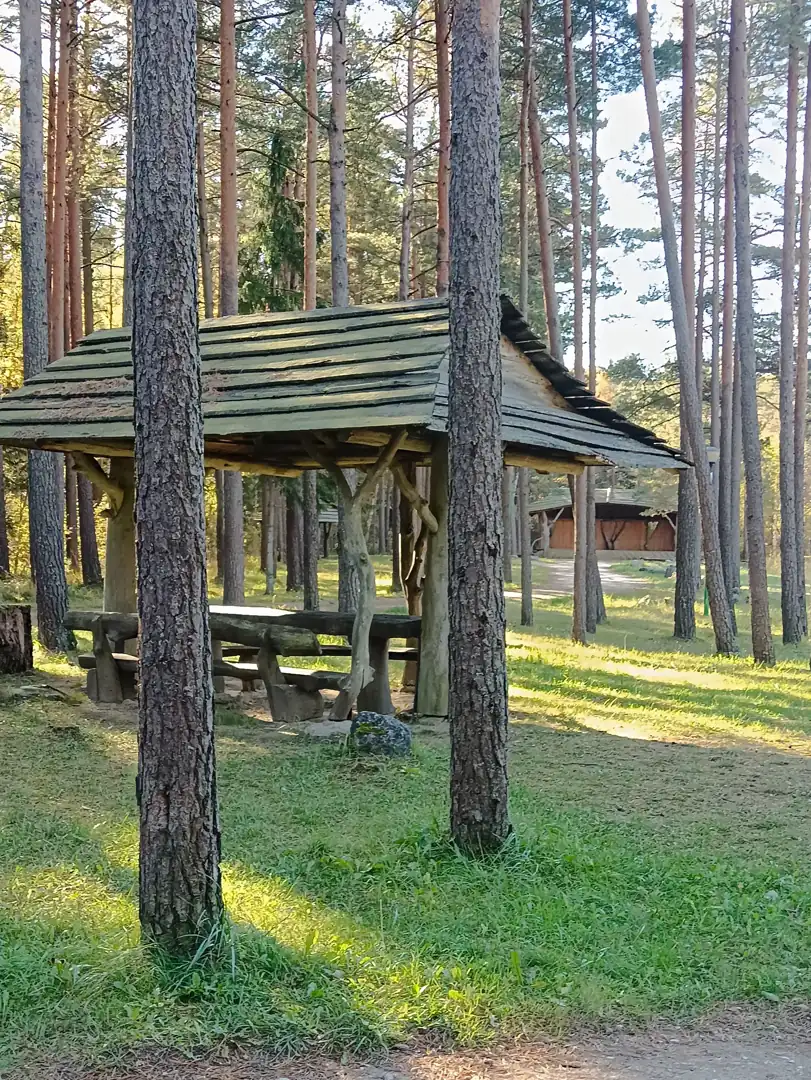 Lenkimų