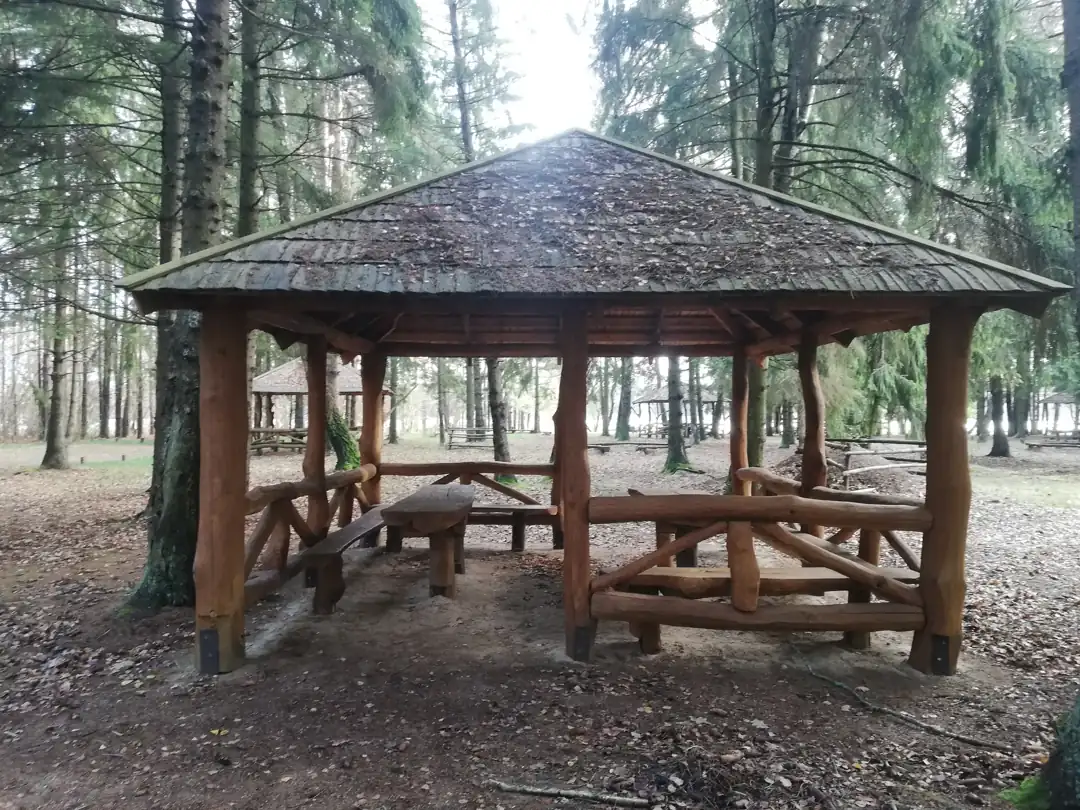 Gauštvinio