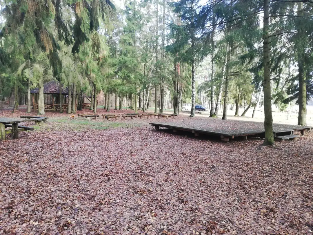 Gauštvinio