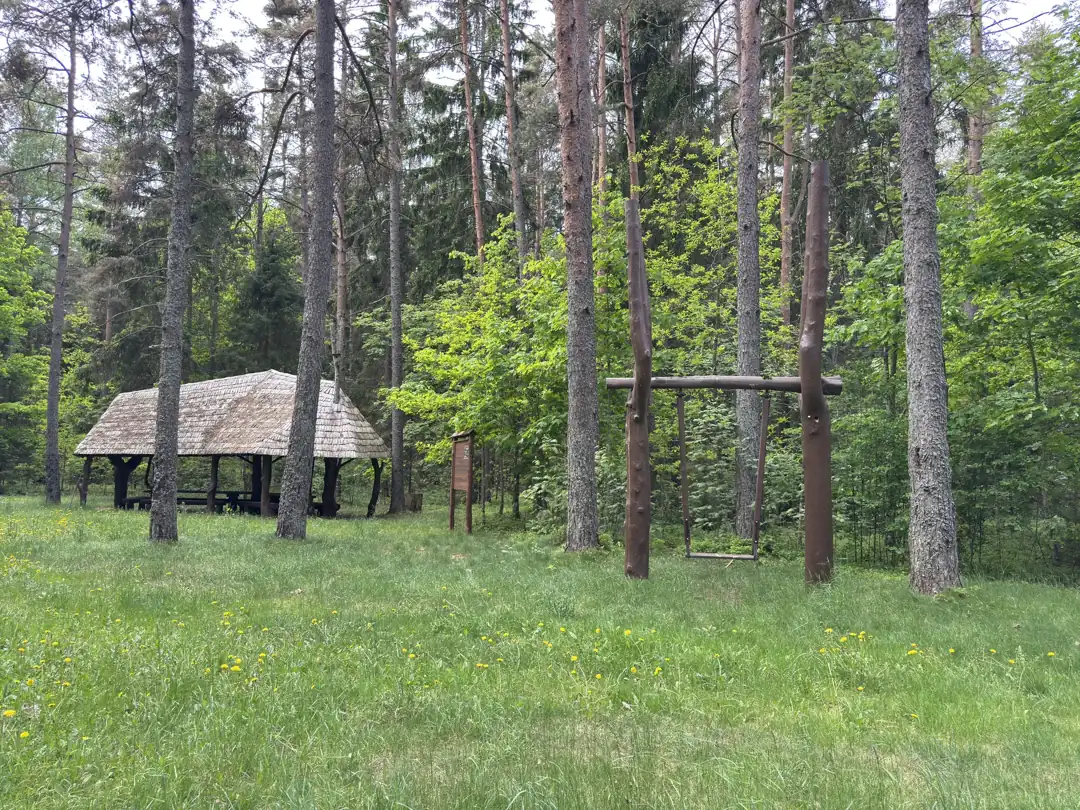 Labanoro ežero