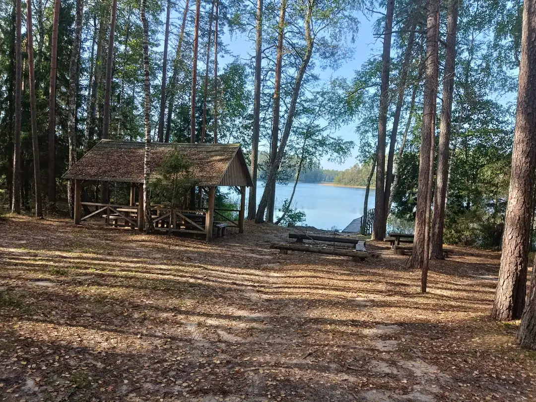 Pietrytinė