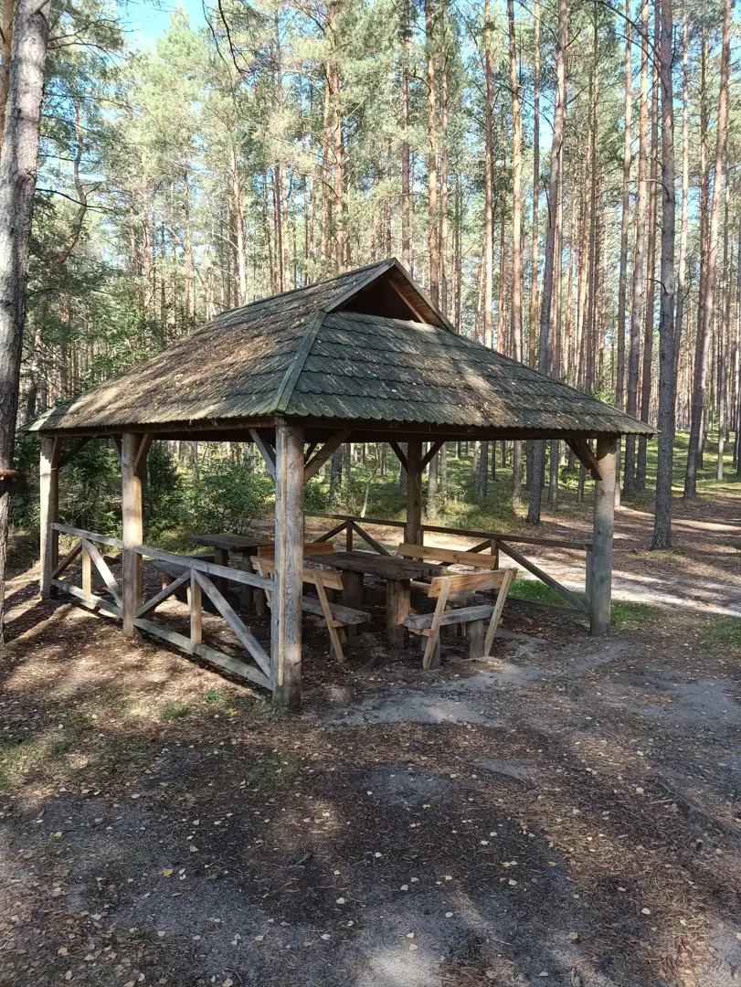 Rytinė