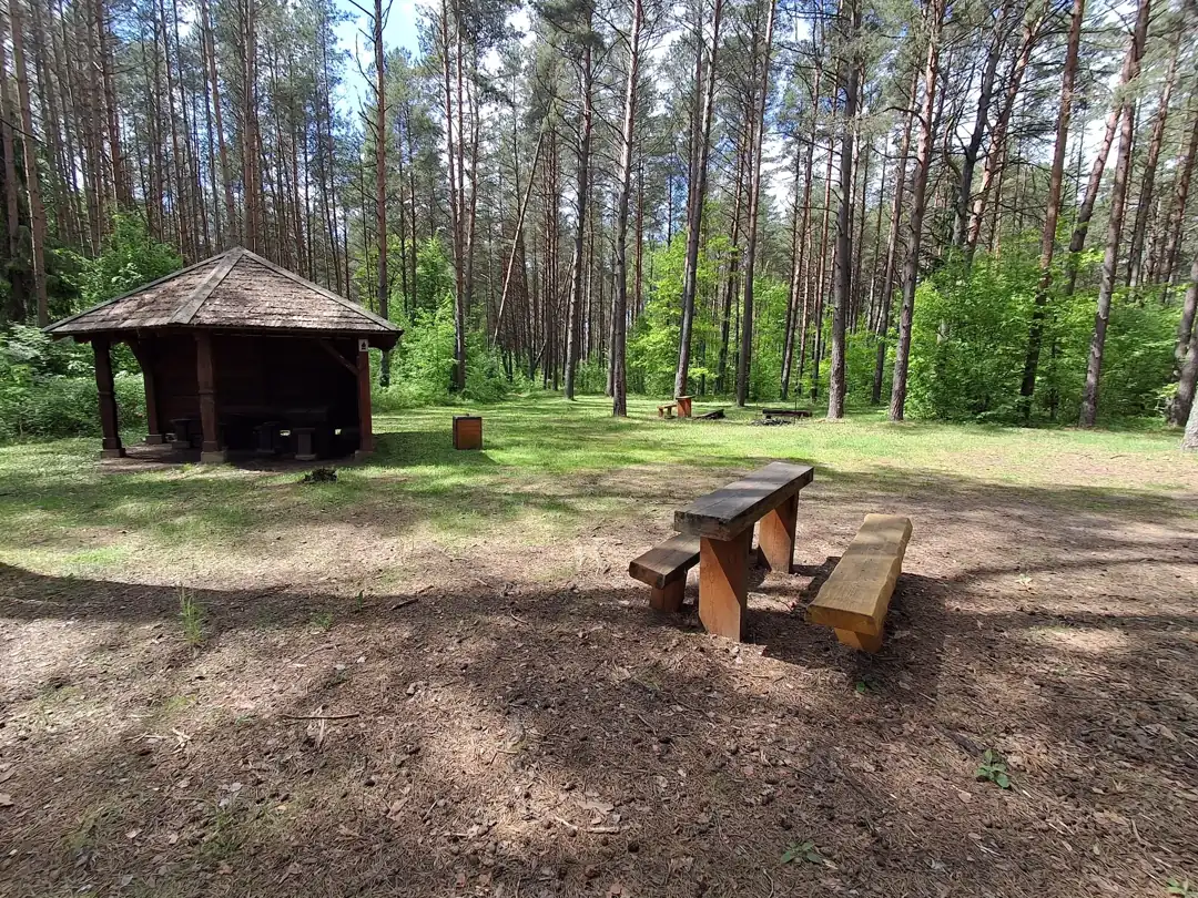 Meironių