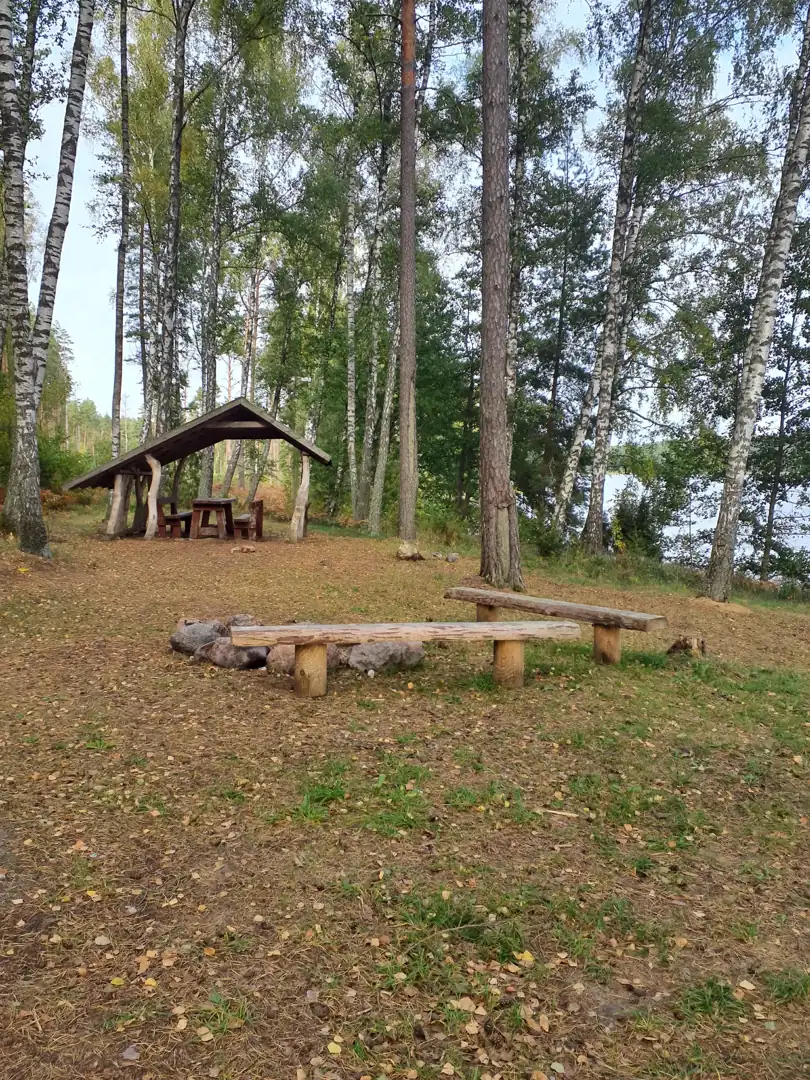 Veisiejų ežero