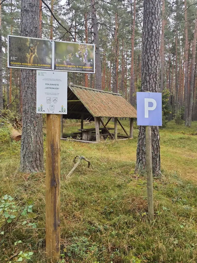Veisiejų ežero
