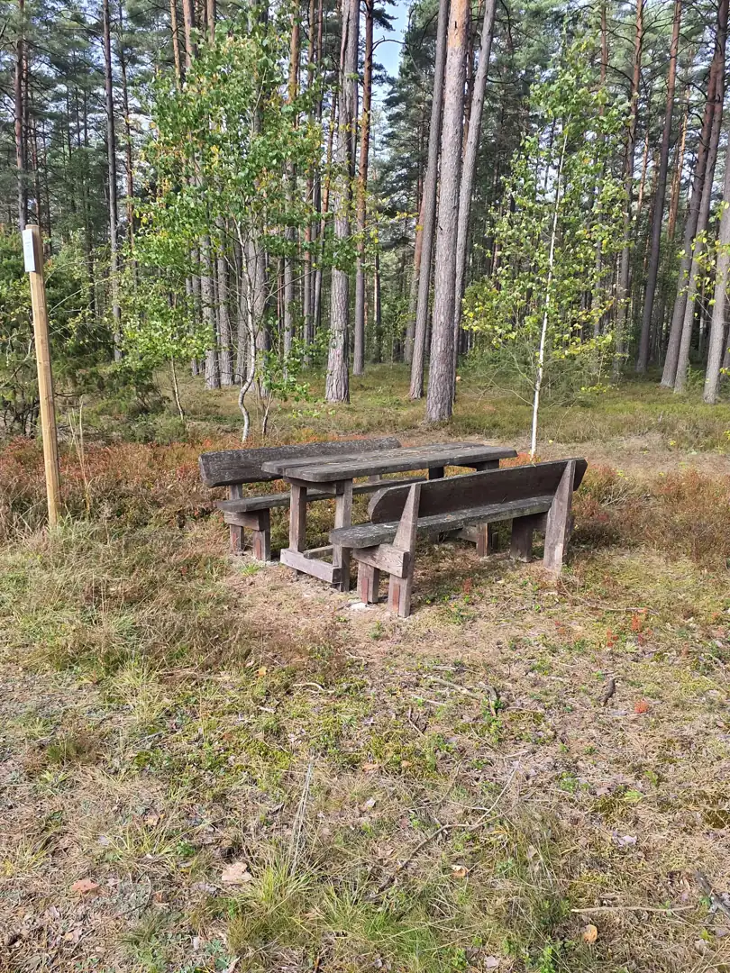 Veisiejų ežero